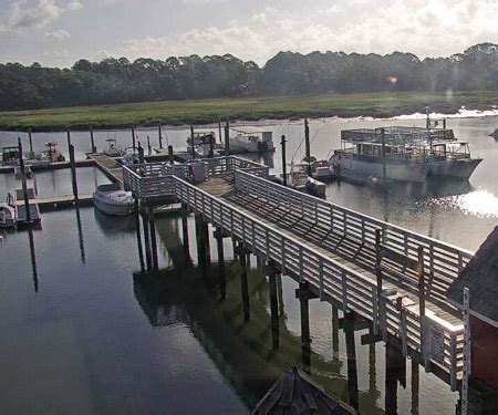 salty dog cam|salty dog hilton head webcams live.